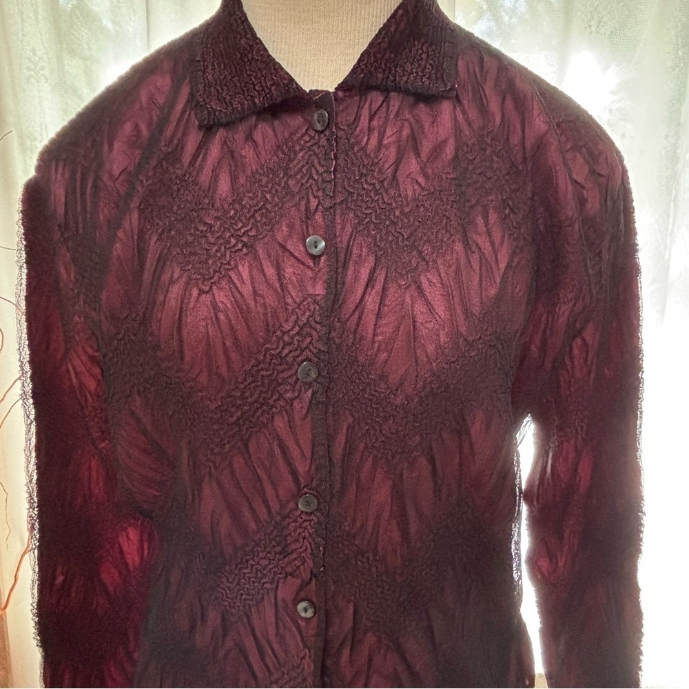 Pleats Collection Burgundy Skirt and Blouse Set-Crinkle & Sheer Fabric Size XL